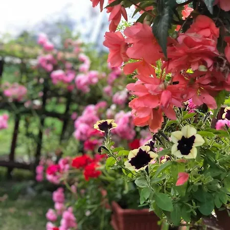 ゲストハウス Emmy 3*