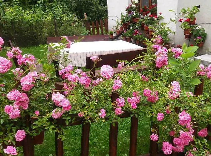 Emmy 3* 特里格拉德